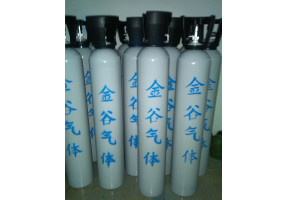 專業(yè)生產(chǎn)標準氣體送貨上門標準氣體